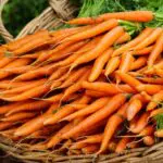 Mrkva: Zázračná zelenina pre vaše zdravie