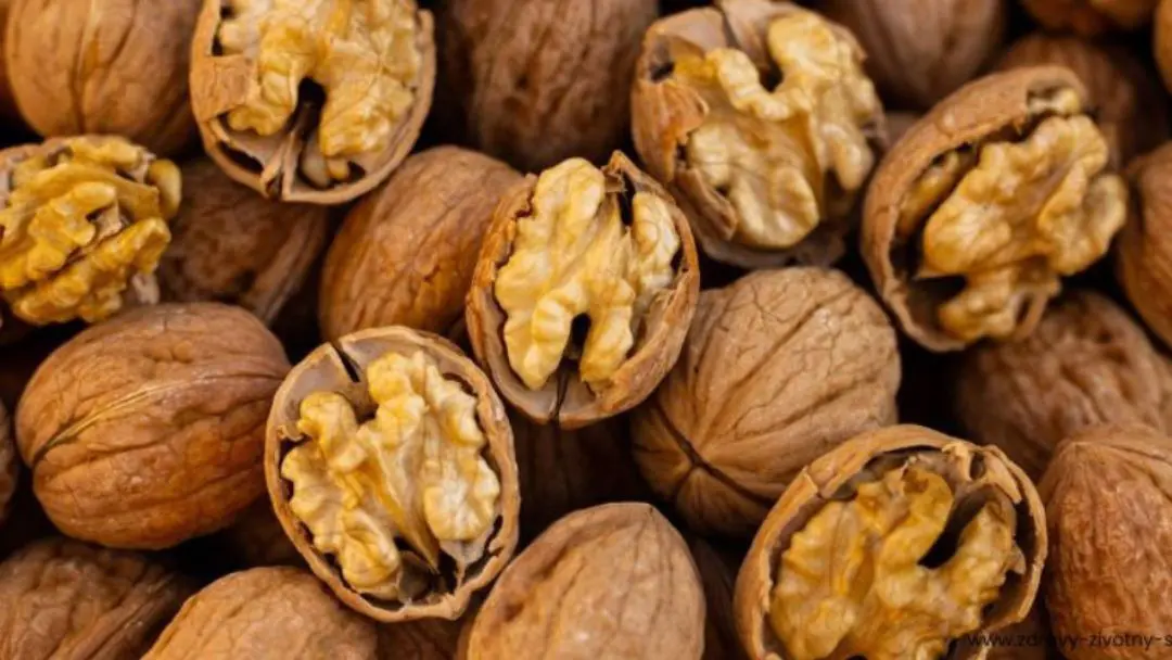 vlašské orechy